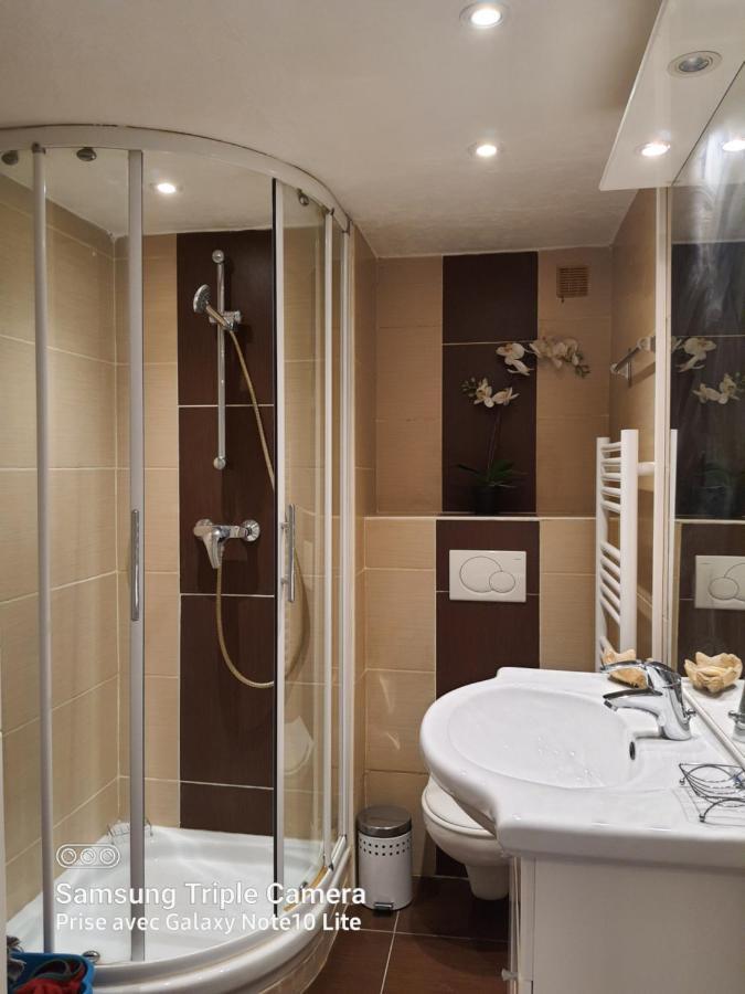 Les Violettes 3 Pieces Centre Ville อองทีบส์ ภายนอก รูปภาพ